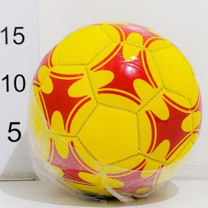 Pelota de Futbol Chica